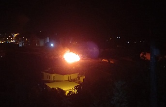 Alanya’da çalılık yangını