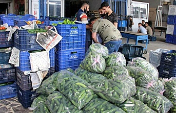 Ticaret Bakanlığı halleri denetleyecek! Her an Alanya'ya gelebilir