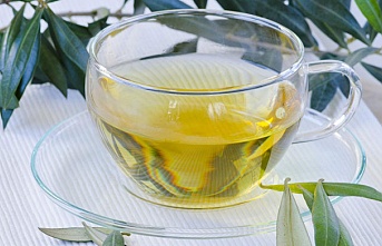 Zeytin yaprağı çayının mucizevi faydaları