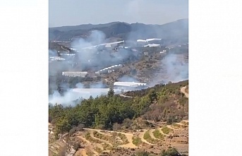 Alanya’da aynı bölgede 2 yangın paniği!
