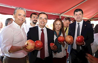 Gazipaşa Nar Festivali’ne hazır