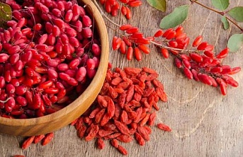 Safra kesesini tertemiz yapıyor!