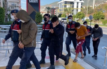 Alanya’da girdikleri bahçeden 100 bin TL değerinde 15 bin avokado çaldılar