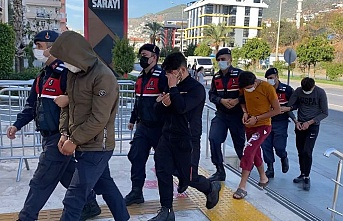 Alanya'da 100 bin TL'lik avokado hırsızlığında 3 tutuklama