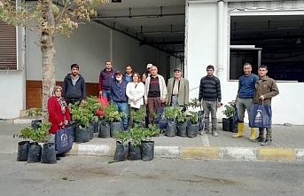 Alanya’da yangından etkilenen ailelere ceviz fidanı desteği