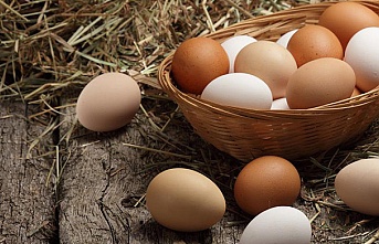 Yumurtanın faydaları nelerdir?
