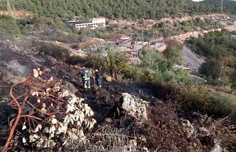 Alanya’da çalılık yangını