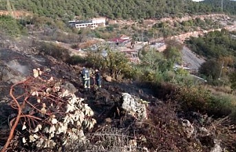 Alanya’da çalılık yangını