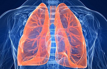 Akciğer sağlığı için birebir! Kanser riskini önlüyor
