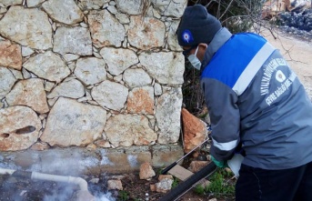 Alanya’da sinekle mücadele kar kış demeden aralıksız sürüyor