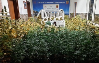 Kiralık evde uyuşturucu laboratuvarına jandarma baskını!