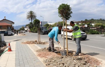 ALANYA BELEDİYESİ DAHA YEŞİL BİR ALANYA İÇİN ÇALIŞMALARINA DEVAM EDİYOR