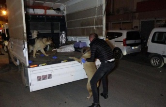 Eski eşin ihbarı polisi alarma geçirdi, evden bir cenaze ve 3 köpek çıktı !