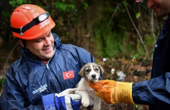 5 metrelik çukurda mahsur kalan yavru köpek kurtarıldı