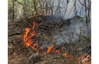 Ormanlık alanda çıkan yangın büyümeden kontrol altına alındı
