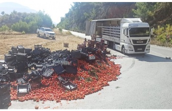 Gazipaşa'da domates yüklü tırın yükü yan yattı