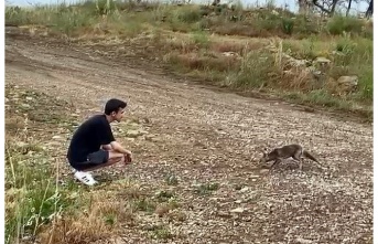 İkilinin arasındaki kovalamaca anları izleyenleri gülme krizine soktu