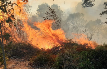 Gazipaşa’da hazineye ait ormanlık alanda yangın çıktı