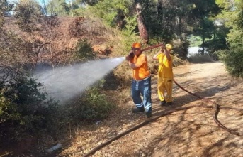 Ormanlık alanda başlayan yangın tarım arazisine sıçradı