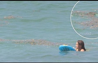ASAT, Alanya sahilleri temiz dedi!