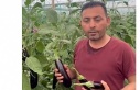 Alanya'da halcinin 'Çöplük' ifadesine...