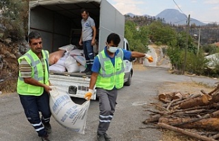 Afet bölgesinde sosyal yardım çalışmaları devam...