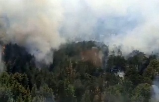 Akseki’de orman yangını yeniden başladı