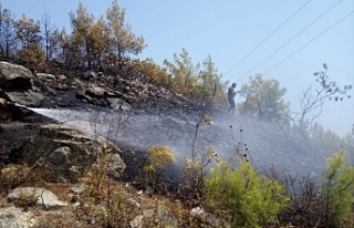 Alanya’da çalı yangını korkuttu