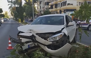 Alanya’da refüje çıkan otomobil ağaca çarptı
