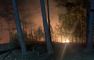 Alanya’da sabah korkutan yangın