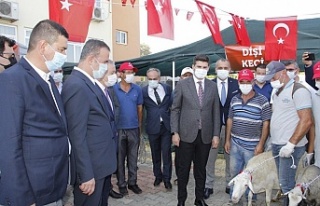 MHP’den yangından zarar görenler için kampanya