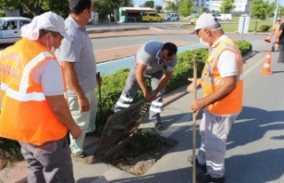 Alanya’da mazgallarda yağmurlar öncesi temizlik