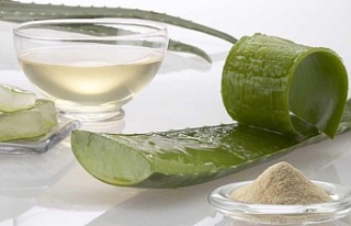 Aloe vera çayı ile kilo verin