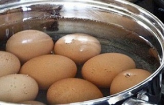 Günde kaç yumurtadan sonrası zararlıdır?
