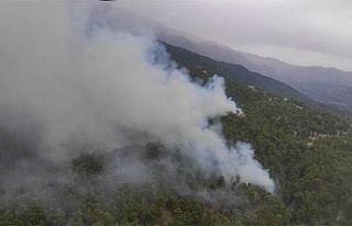 Manavgat’ta aynı bölgede ikinci orman yangını