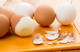 Yumurta kabuğunun faydaları nelerdir?