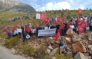 Alanya'da Cumhuriyet ormanı büyüyor