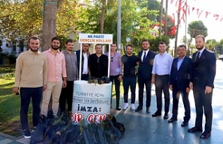 AK gençler Alanya'da fidan dağıttı