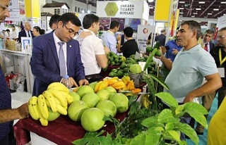 Alanya'nın yöresel ürünleri bu fuarda tanıtılacak!