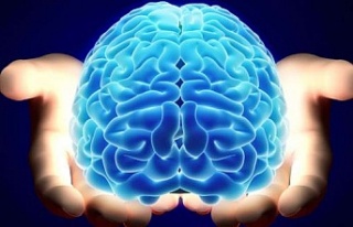 Beynin bilinmeyen özellikleri