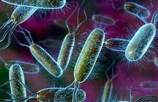 Bilim insanları bakterilerin ölüm çığlığını...
