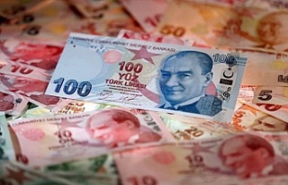 Hazine, 4,9 milyar TL borçlandı