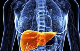 Karaciğer kanserinin belirtileri nelerdir