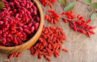Safra kesesini tertemiz yapıyor!