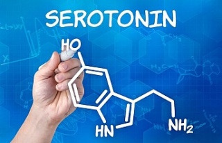 Serotonin içeren besinler nelerdir?