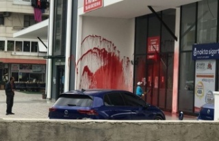 Alanya’da noter binasına boyalı saldırı!