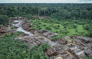 Avrupa Birliği, ormansızlaşma ile mücadele eden...