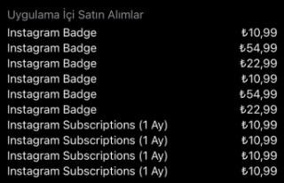 Instagram ücretli abonelik dönemi başlıyor