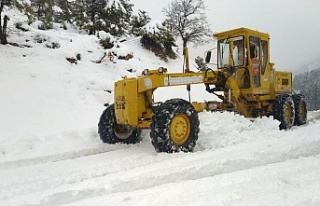 Alanya beyaza büründü! Ekipler çalışma başlattı