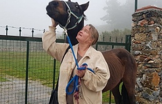 Alanya’da Alman kadın çalınan atına kavuştu